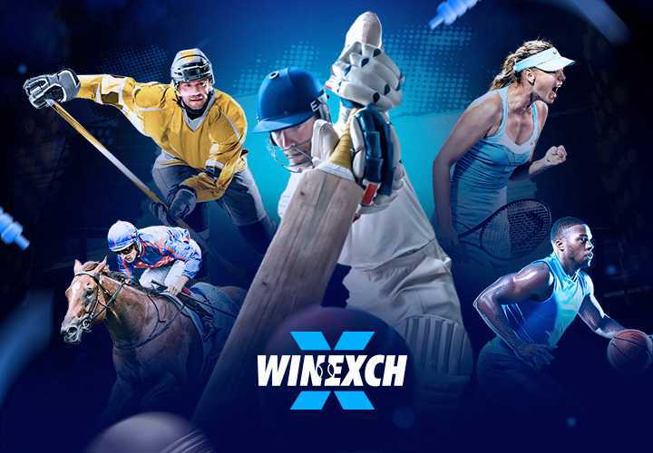 Winexch New ID Winexch Cricket ID  Winexch Betting ID Winexch Whatsapp Number